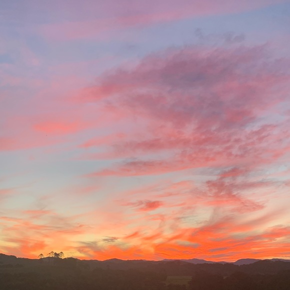 Meet your Posher, Natasha - Picture 1 of 1